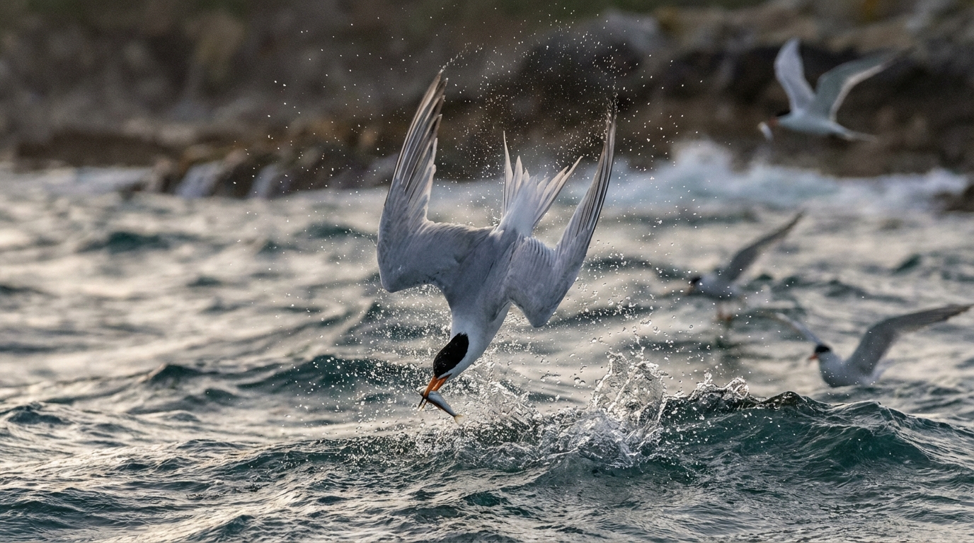 faune-marine-manche-Plongee Chausey Loisirs.png